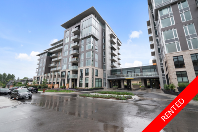 Greystone Village Condo for rent: 1 bedroom (Listed 2025-12-01)